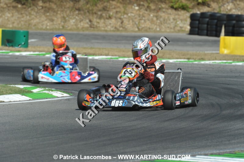 DSC_ (1126).JPG
